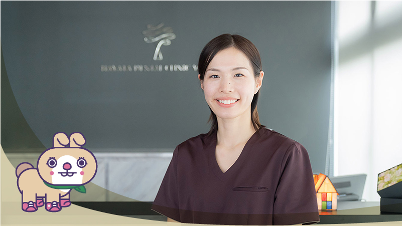 用賀駅前はやた歯科 副院長 早田 満里子